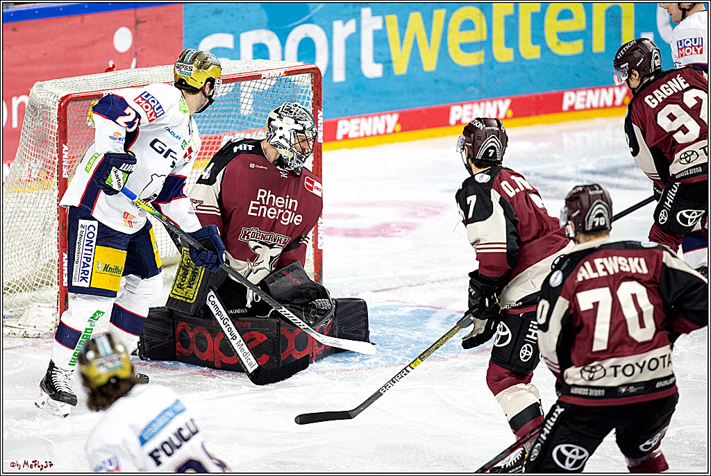 PENNY DEL;  Koelner Haie - Eisbaeren Berlin; Koeln, 19.02.2021